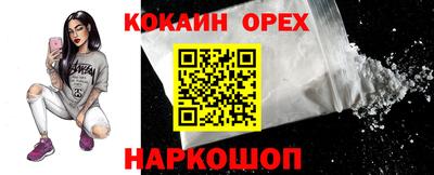 твердый Сланцы