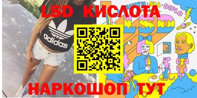 твердый Сланцы