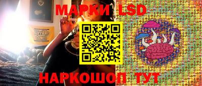 твердый Сланцы