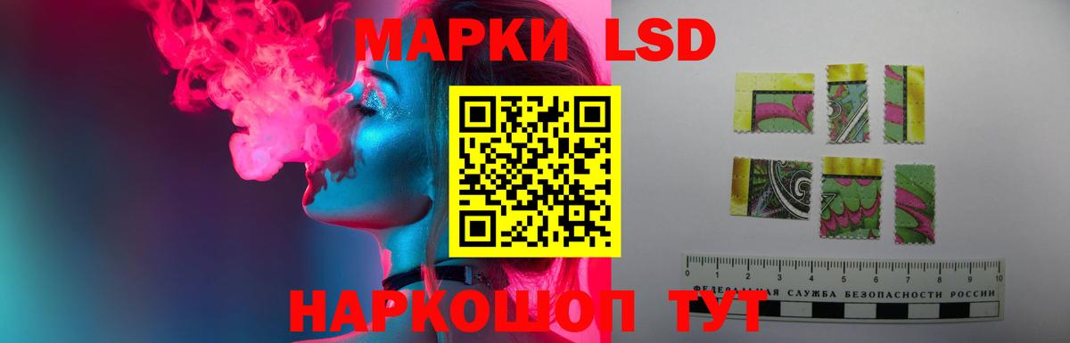 Псилоцибиновые грибы Псков