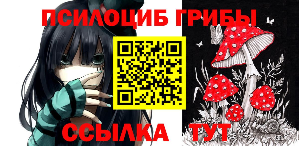 Псилоцибиновые грибы GOLDEN TEACHER  Вход с VPN  Псков  Галлюциногенные грибы мухоморы 